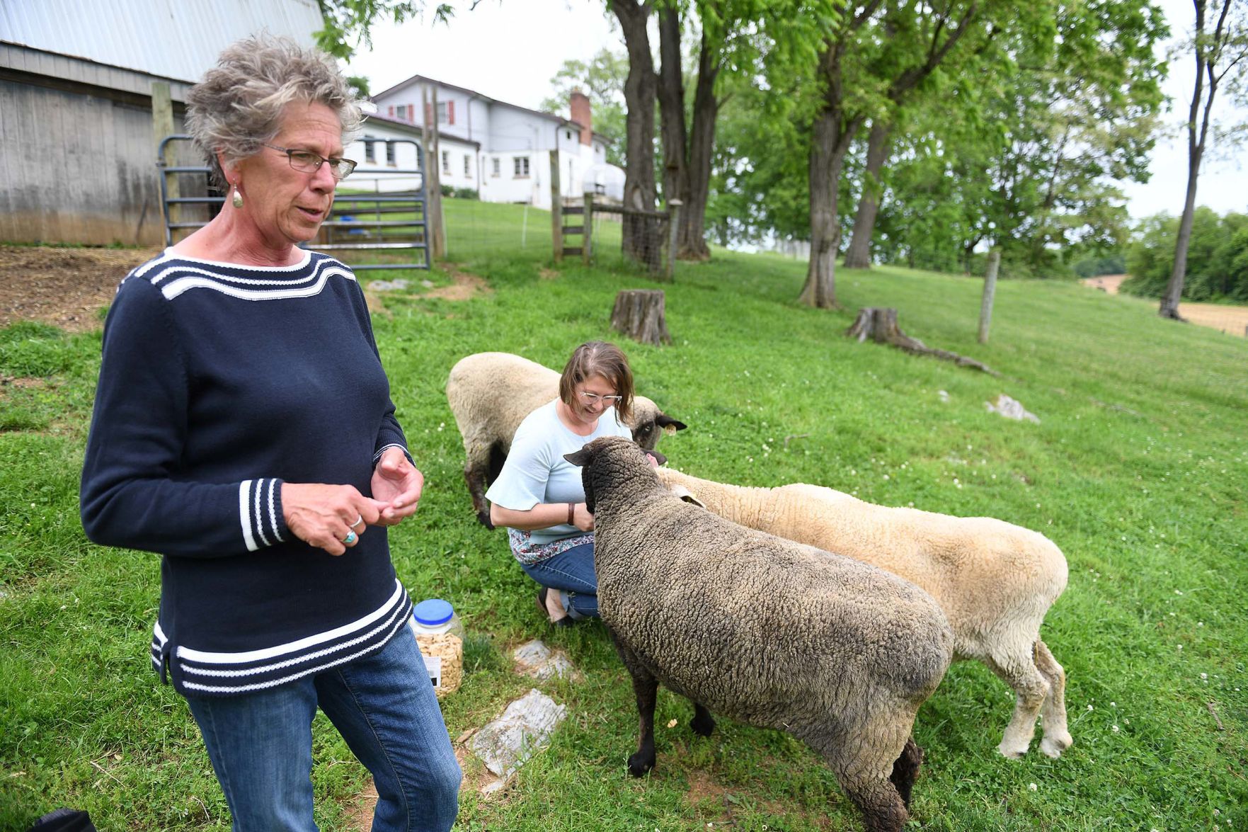 Mulberry Hill Farm